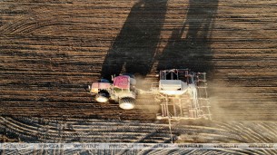 Progress of early spring crops planting campaign in Belarus at nearly 90%