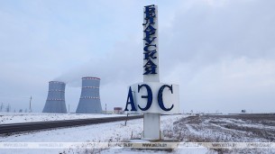 Эксперт: экологическая ситуация в Беларуси после запуска БелАЭС не изменилась